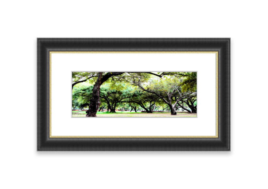 Framed print of Ancient Woodland Trees showcasing intricate details and vibrant colors, available in various frame colors.