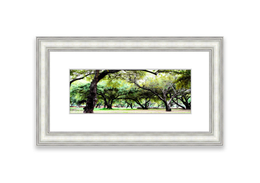 Framed print of Ancient Woodland Trees showcasing intricate details and vibrant colors, available in various frame colors.