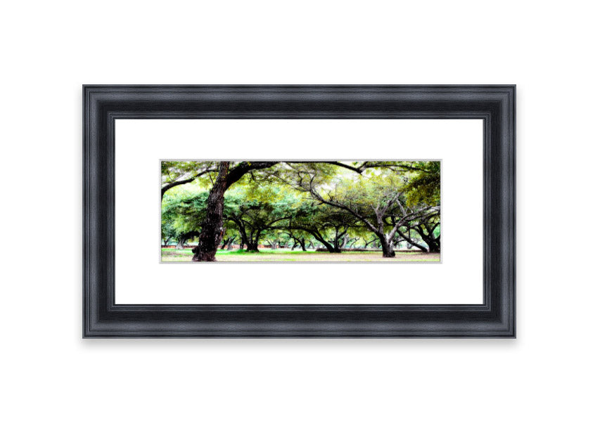 Framed print of Ancient Woodland Trees showcasing intricate details and vibrant colors, available in various frame colors.