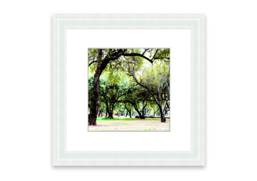 Framed print of Ancient Woodland Trees showcasing intricate details and vibrant colors, available in various frame colors.