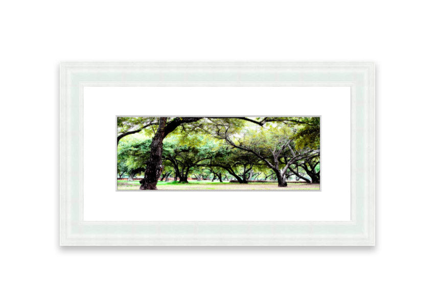 Framed print of Ancient Woodland Trees showcasing intricate details and vibrant colors, available in various frame colors.