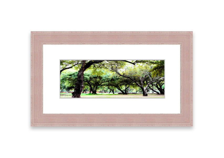 Framed print of Ancient Woodland Trees showcasing intricate details and vibrant colors, available in various frame colors.