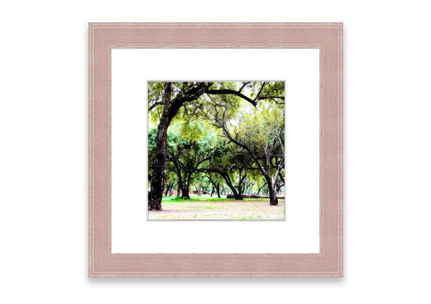 Framed print of Ancient Woodland Trees showcasing intricate details and vibrant colors, available in various frame colors.