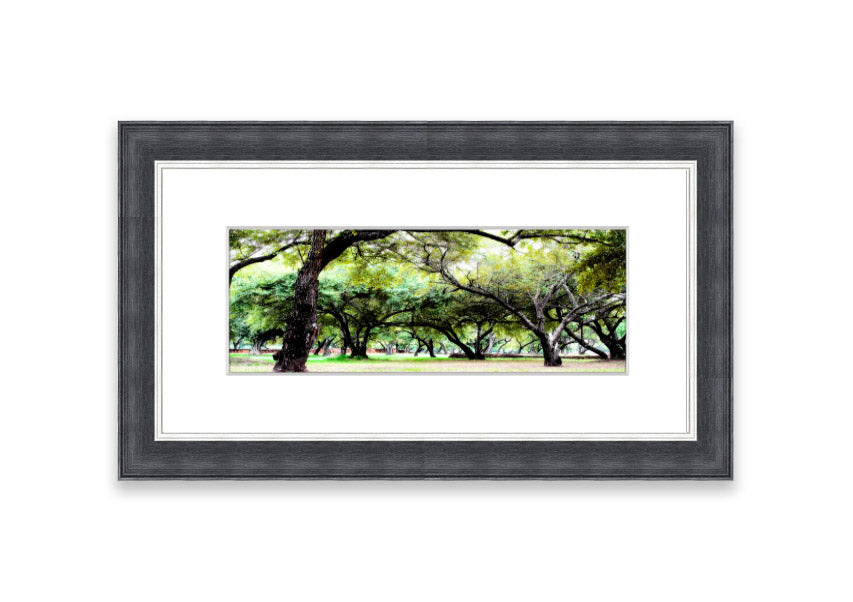 Framed print of Ancient Woodland Trees showcasing intricate details and vibrant colors, available in various frame colors.