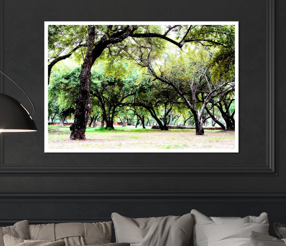 A high-quality canvas poster featuring ancient woodland trees, showcasing their majestic beauty and intricate details.