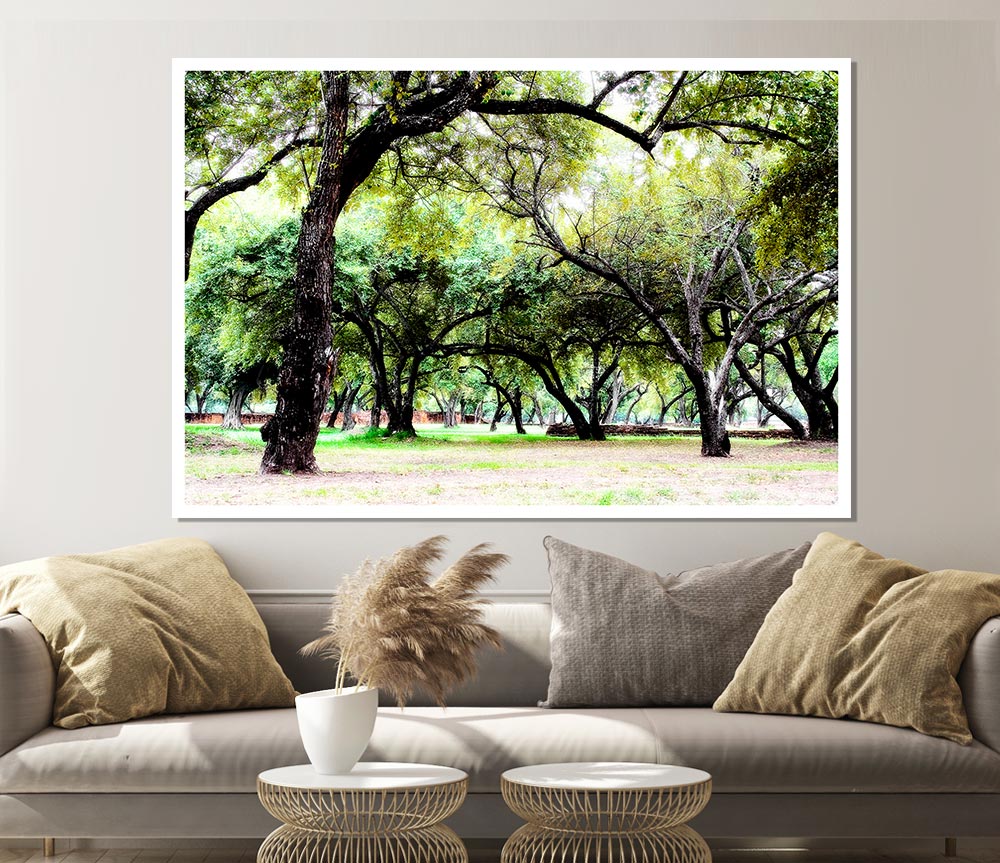 A high-quality canvas poster featuring ancient woodland trees, showcasing their majestic beauty and intricate details.