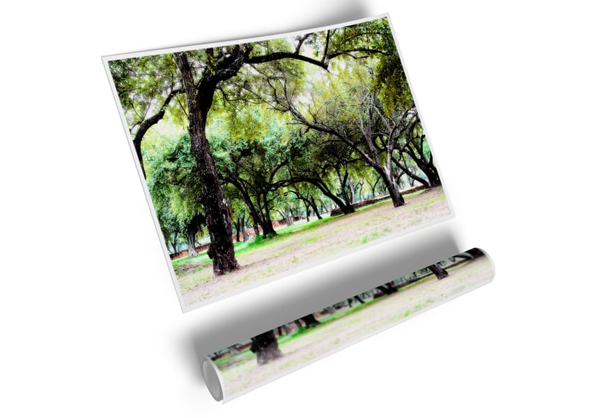 A high-quality canvas poster featuring ancient woodland trees, showcasing their majestic beauty and intricate details.