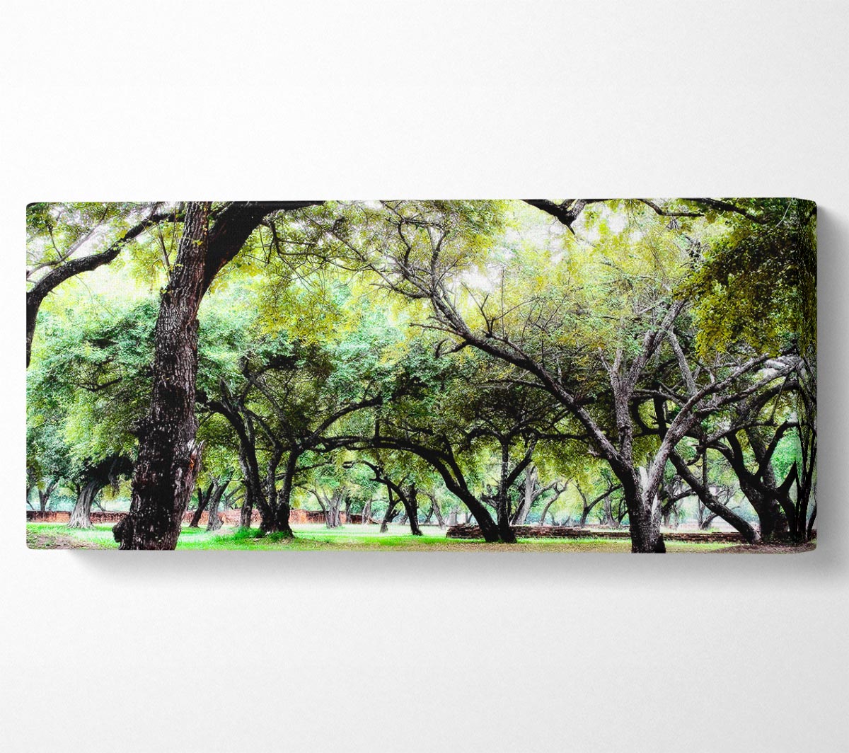 A beautiful canvas print of Ancient Woodland Trees, showcasing vibrant colors and intricate details, mounted on a sturdy box frame.