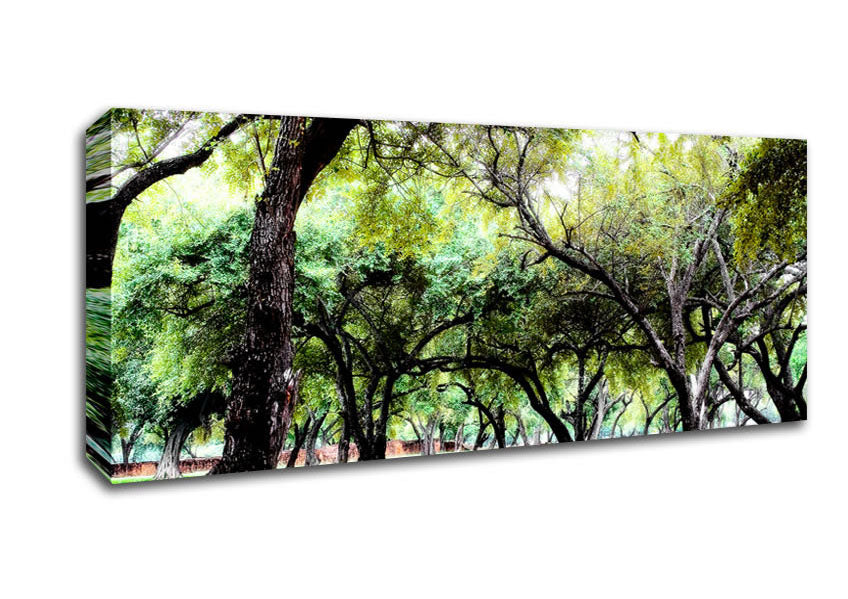 A beautiful canvas print of Ancient Woodland Trees, showcasing vibrant colors and intricate details, mounted on a sturdy box frame.