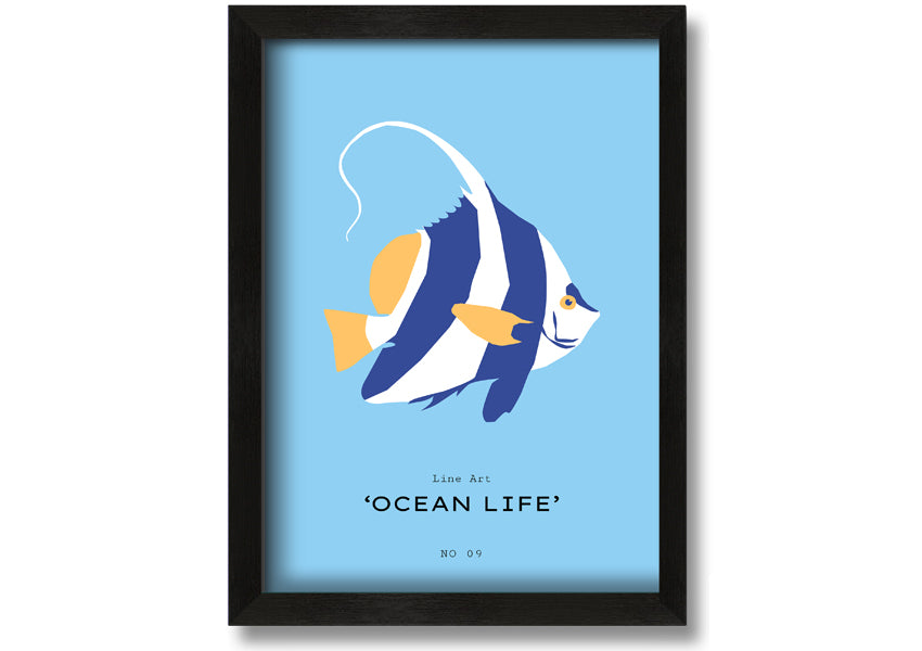 A beautifully framed print of an angel fish in blue and white, showcasing intricate details and vibrant colors, ready to hang.