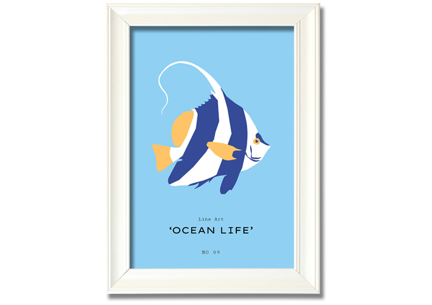 A beautifully framed print of an angel fish in blue and white, showcasing intricate details and vibrant colors, ready to hang.