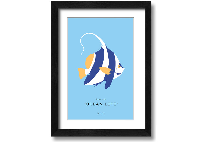 A beautifully framed print of an angel fish in blue and white, showcasing intricate details and vibrant colors, ready to hang.