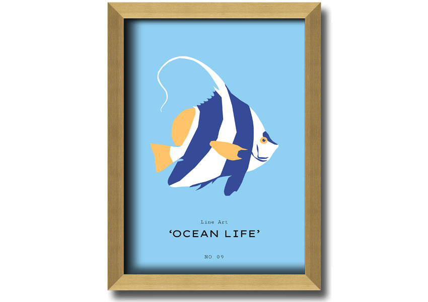 A beautifully framed print of an angel fish in blue and white, showcasing intricate details and vibrant colors, ready to hang.