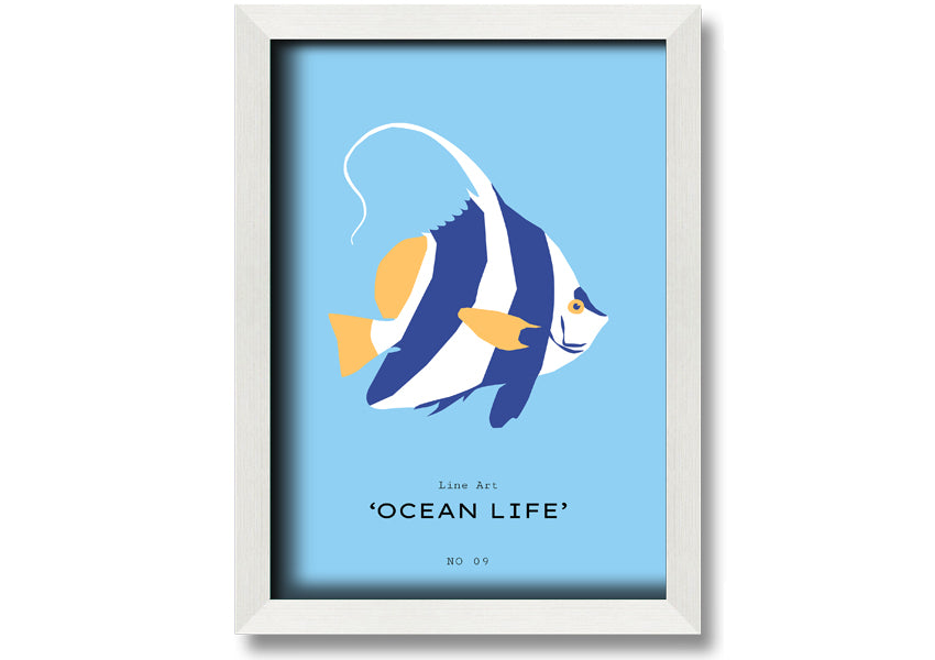 A beautifully framed print of an angel fish in blue and white, showcasing intricate details and vibrant colors, ready to hang.