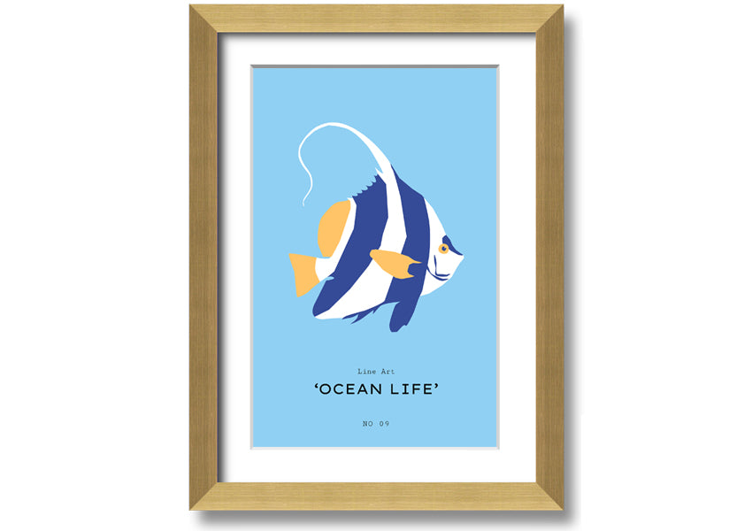 A beautifully framed print of an angel fish in blue and white, showcasing intricate details and vibrant colors, ready to hang.