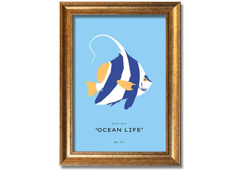 A beautifully framed print of an angel fish in blue and white, showcasing intricate details and vibrant colors, ready to hang.