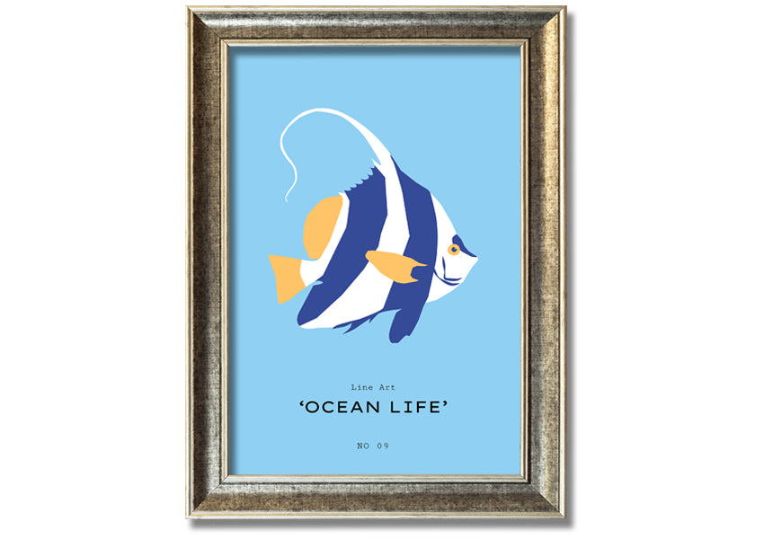 A beautifully framed print of an angel fish in blue and white, showcasing intricate details and vibrant colors, ready to hang.