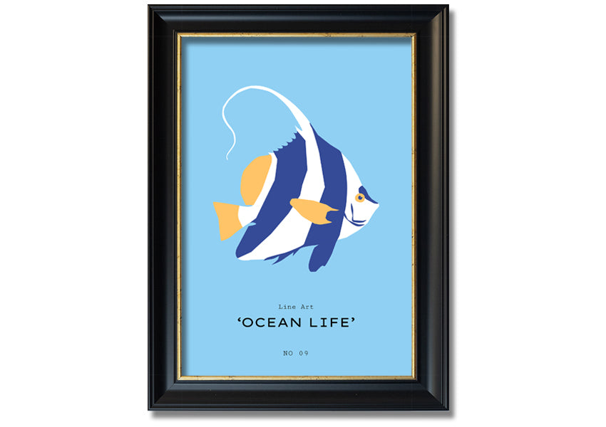 A beautifully framed print of an angel fish in blue and white, showcasing intricate details and vibrant colors, ready to hang.