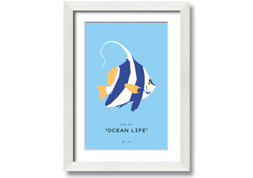 A beautifully framed print of an angel fish in blue and white, showcasing intricate details and vibrant colors, ready to hang.