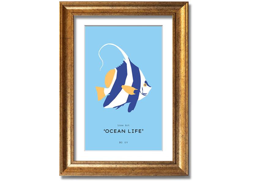 A beautifully framed print of an angel fish in blue and white, showcasing intricate details and vibrant colors, ready to hang.