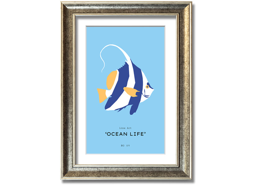 A beautifully framed print of an angel fish in blue and white, showcasing intricate details and vibrant colors, ready to hang.