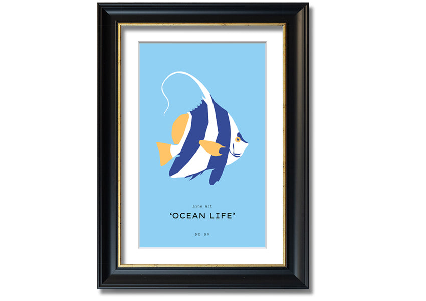 A beautifully framed print of an angel fish in blue and white, showcasing intricate details and vibrant colors, ready to hang.