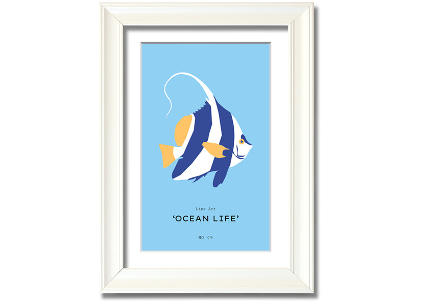 A beautifully framed print of an angel fish in blue and white, showcasing intricate details and vibrant colors, ready to hang.