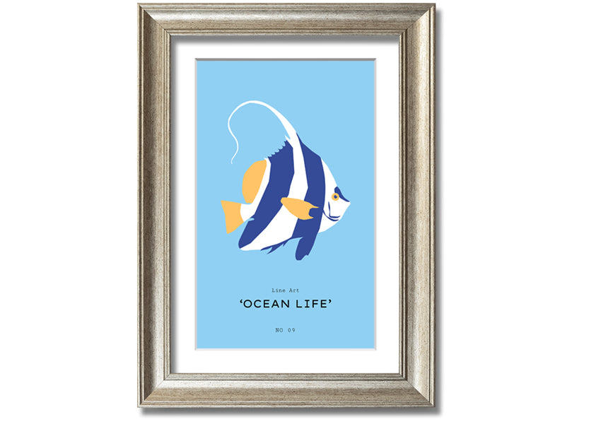 A beautifully framed print of an angel fish in blue and white, showcasing intricate details and vibrant colors, ready to hang.