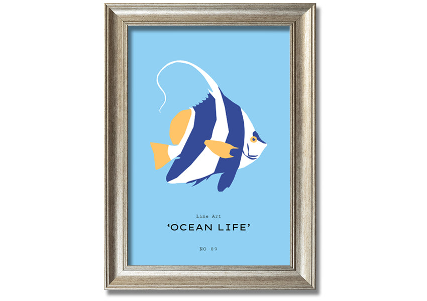 A beautifully framed print of an angel fish in blue and white, showcasing intricate details and vibrant colors, ready to hang.