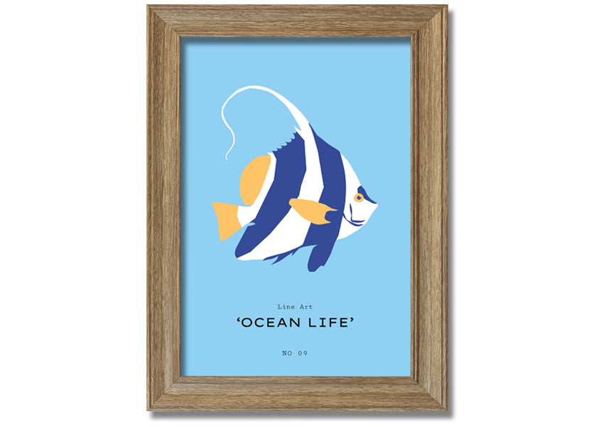 A beautifully framed print of an angel fish in blue and white, showcasing intricate details and vibrant colors, ready to hang.