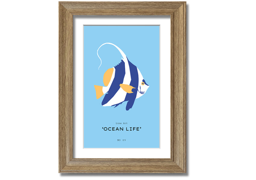 A beautifully framed print of an angel fish in blue and white, showcasing intricate details and vibrant colors, ready to hang.