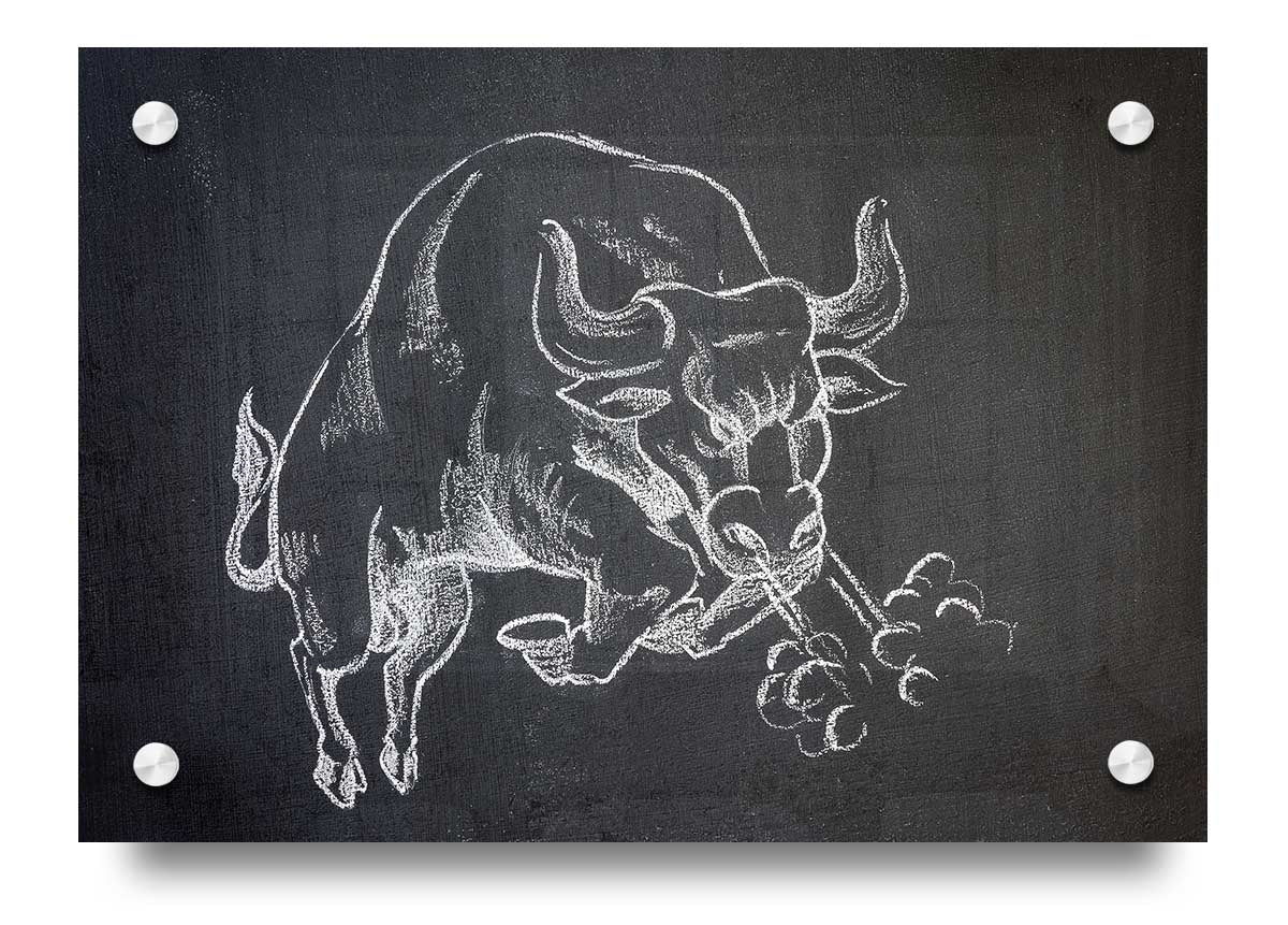 Angry Bull acrylic print showcasing vibrant colors on 5mm thick acrylic glass, ready to hang.