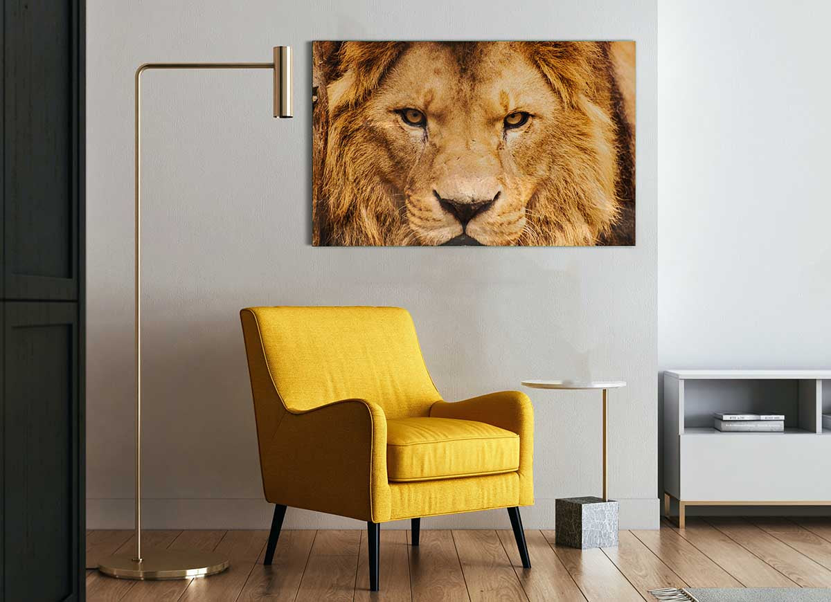 A vibrant glass print featuring an angry lion's face, showcasing intricate details and bold colors, perfect for modern decor.