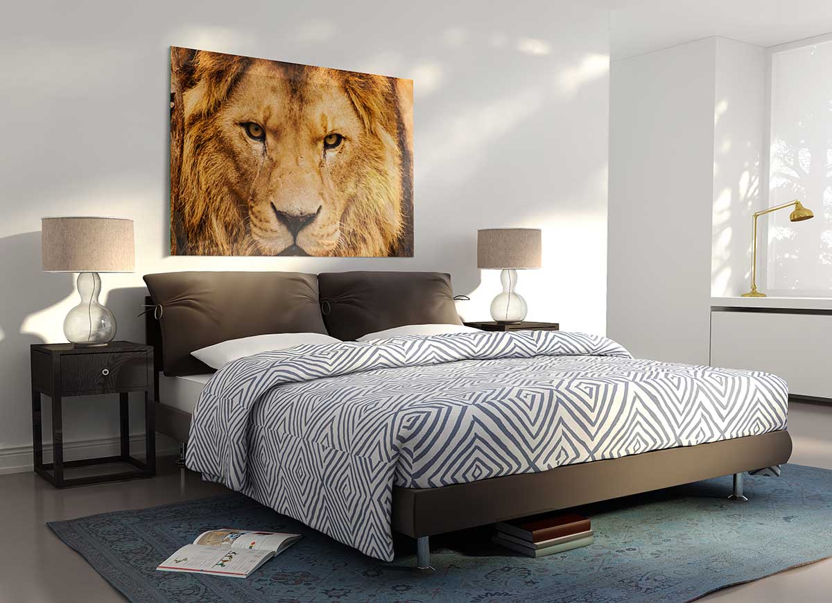 A vibrant glass print featuring an angry lion's face, showcasing intricate details and bold colors, perfect for modern decor.