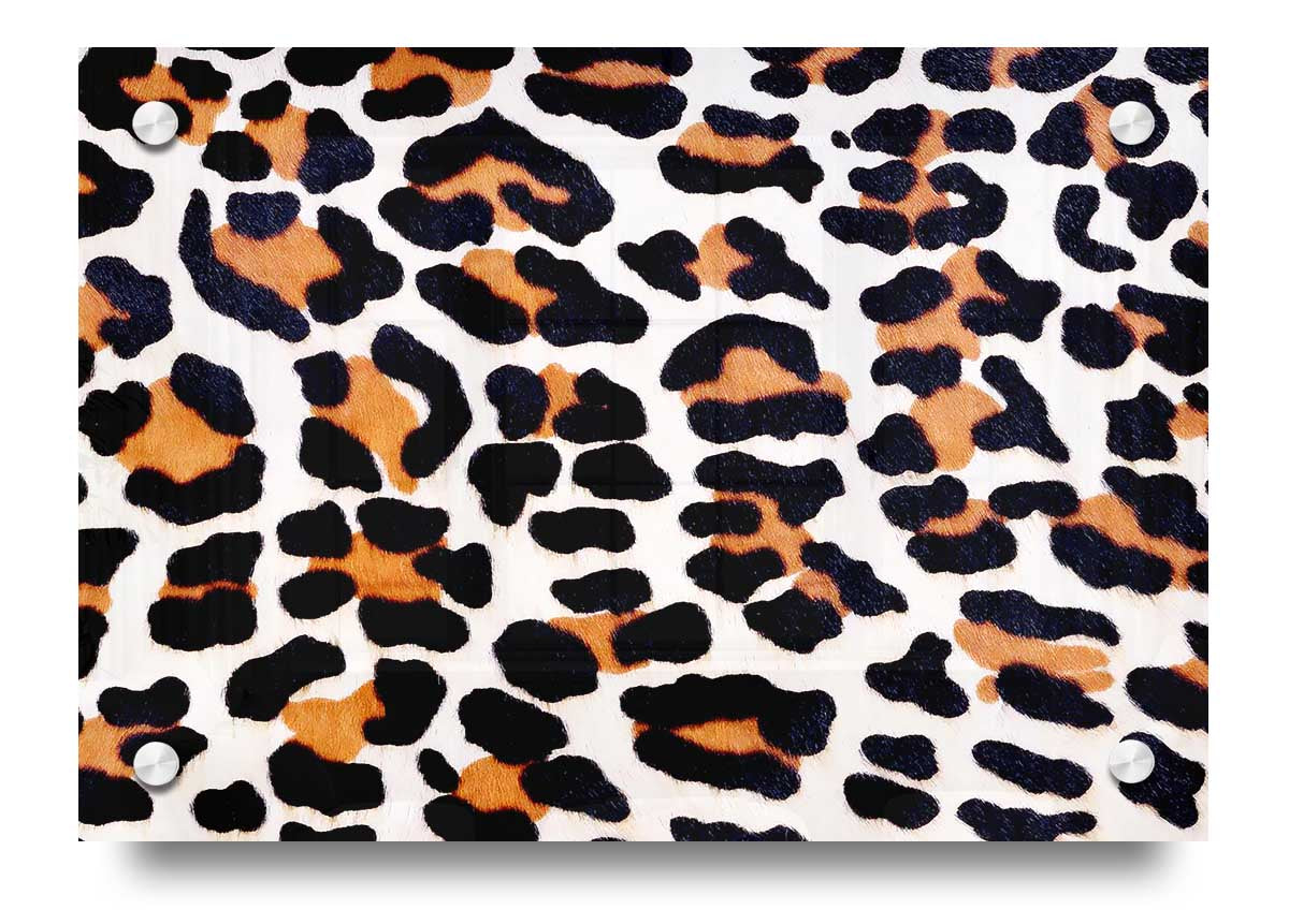 Vibrant Animal Skin acrylic print on 5mm thick glass, showcasing intricate details and colors.