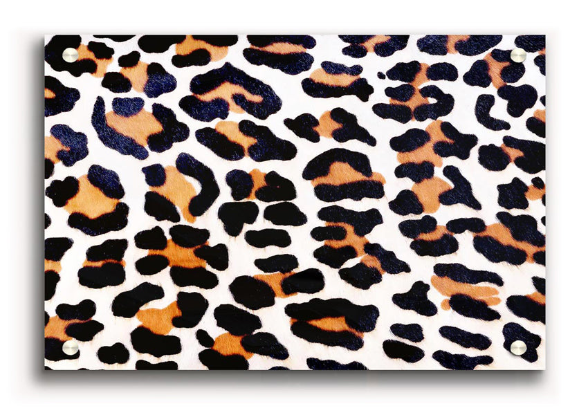 Vibrant Animal Skin acrylic print on 5mm thick glass, showcasing intricate details and colors.