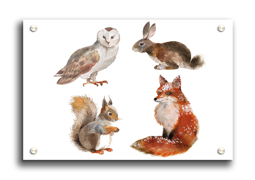 A vibrant acrylic print featuring various woodland animals, showcasing their beauty and detail on a 5mm thick acrylic glass.