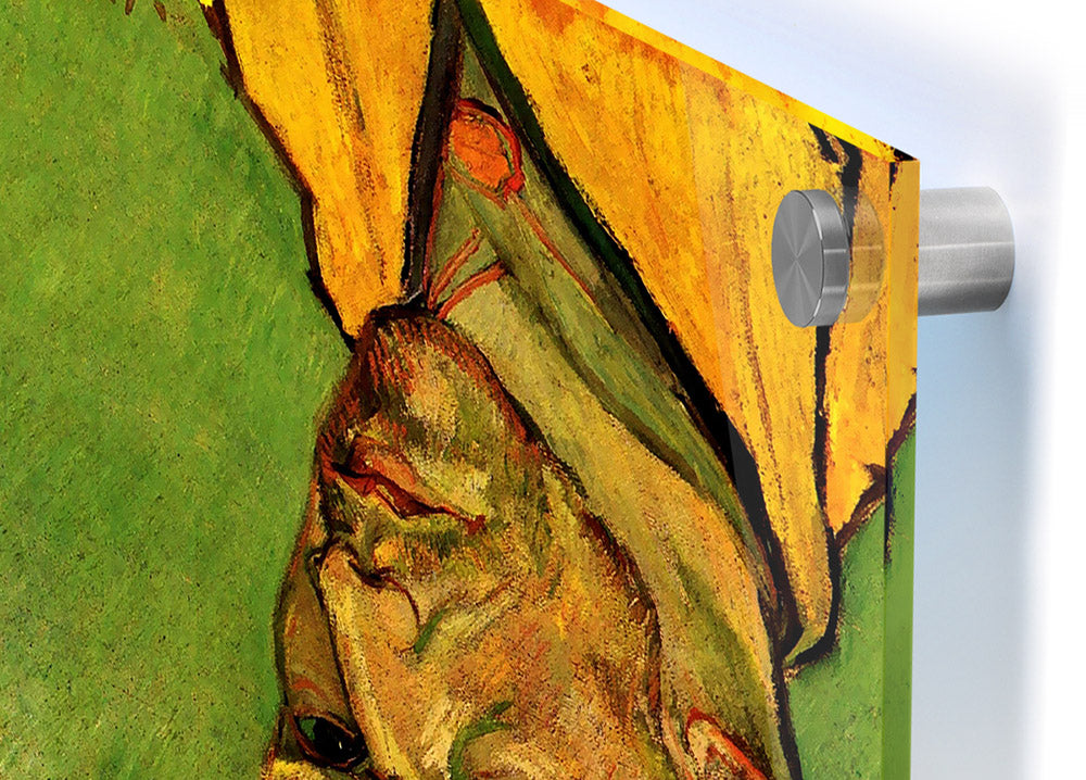 Acrylic print of Van Gogh's Another Self Portrait, showcasing vibrant colors on 5mm thick glass.