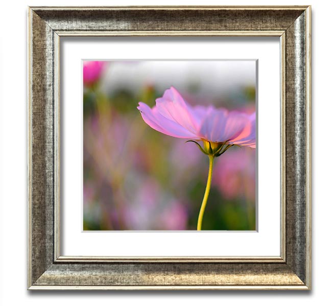 Square framed print of a vibrant poppy flower, handmade in the UK, available in various frame colors.