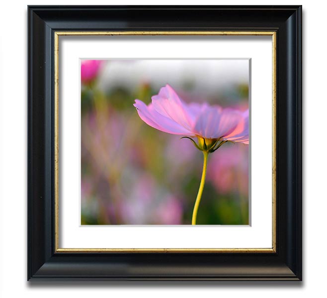 Square framed print of a vibrant poppy flower, handmade in the UK, available in various frame colors.