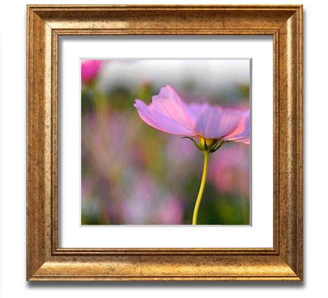 Square framed print of a vibrant poppy flower, handmade in the UK, available in various frame colors.