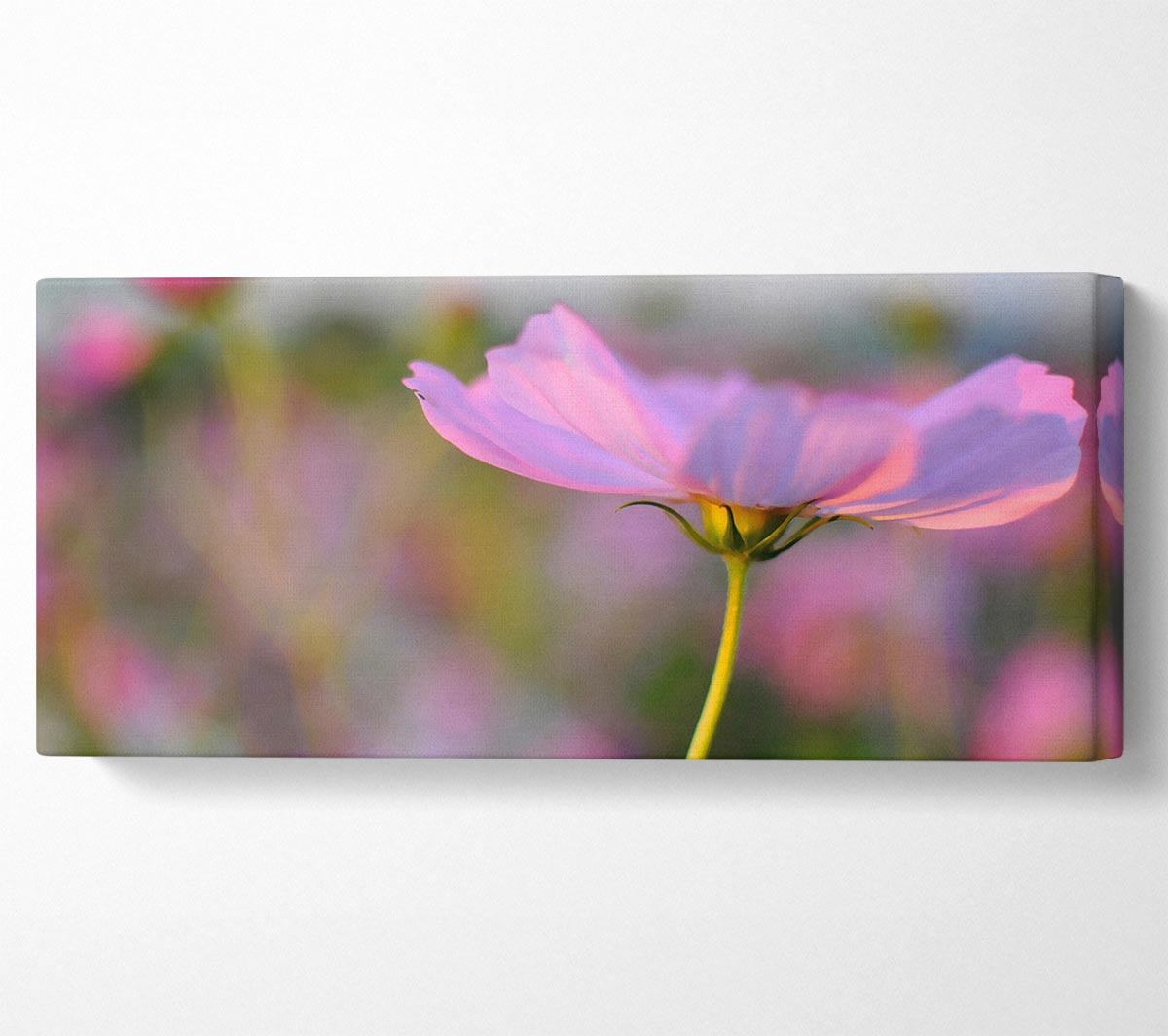 Vibrant canvas art featuring a poppy flower, mounted on a sturdy box frame, ready to hang.