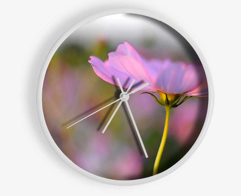 A stylish bamboo clock with a round face, available in black, white, and natural frame colors, featuring black or white hands.