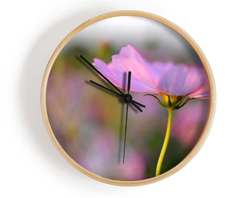 A stylish bamboo clock with a round face, available in black, white, and natural frame colors, featuring black or white hands.