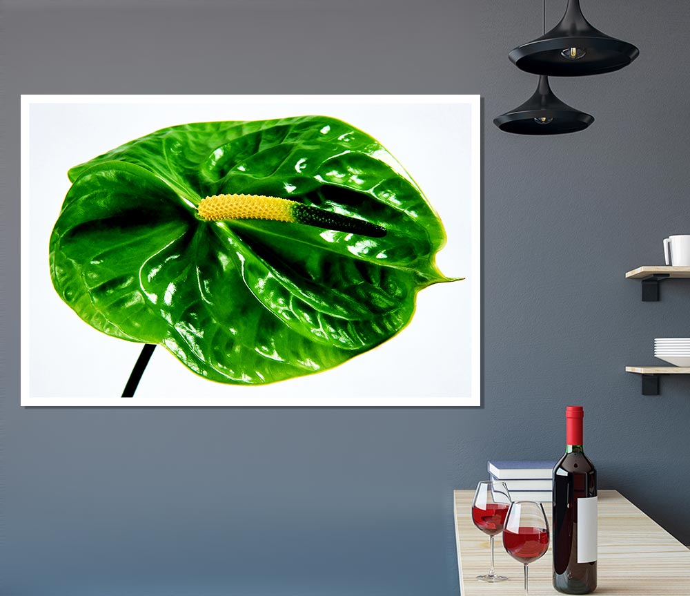 Anthurium Flower poster printed on high-quality canvas, showcasing vibrant colors and intricate details.