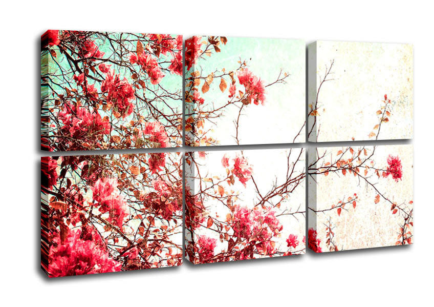 Antique Cherry Blossom canvas art mounted on a 44mm box frame, featuring delicate pink cherry blossoms on a textured background.