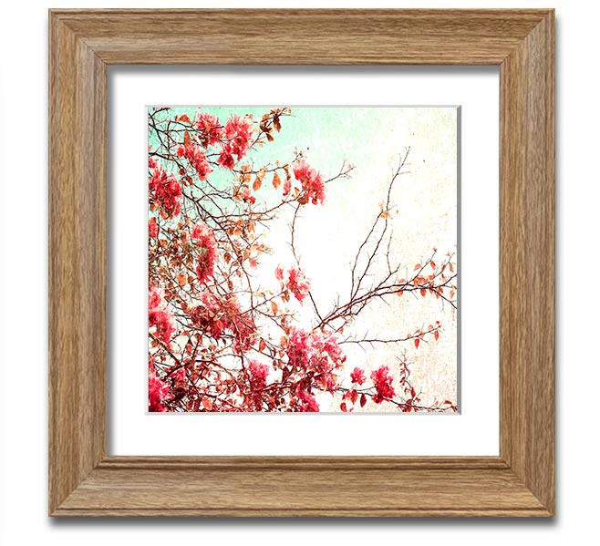 Antique Cherry Blossom Square Framed Print showcasing delicate cherry blossoms in a stylish frame.