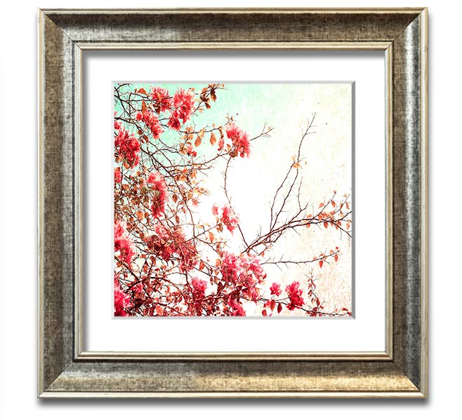 Antique Cherry Blossom Square Framed Print showcasing delicate cherry blossoms in a stylish frame.