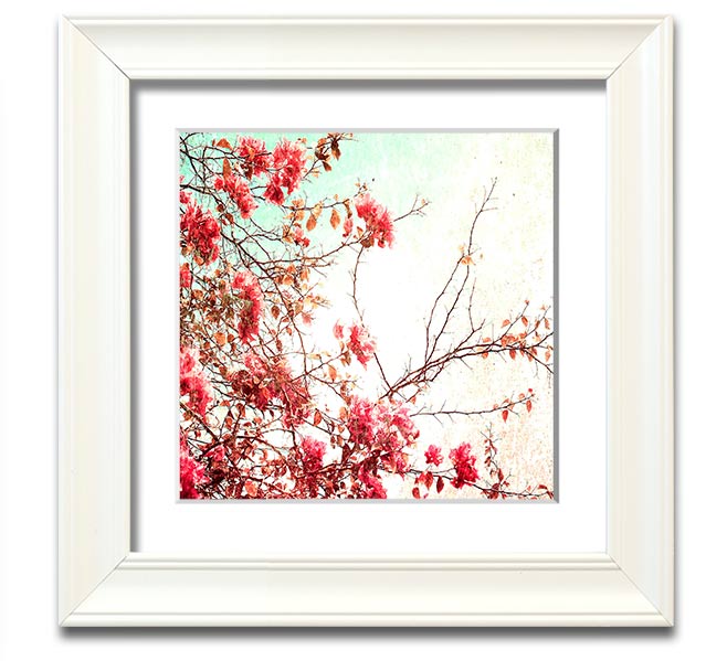 Antique Cherry Blossom Square Framed Print showcasing delicate cherry blossoms in a stylish frame.