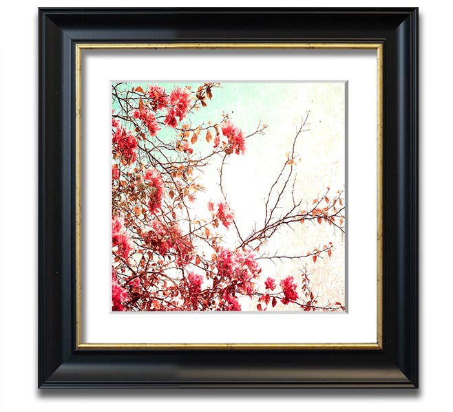 Antique Cherry Blossom Square Framed Print showcasing delicate cherry blossoms in a stylish frame.